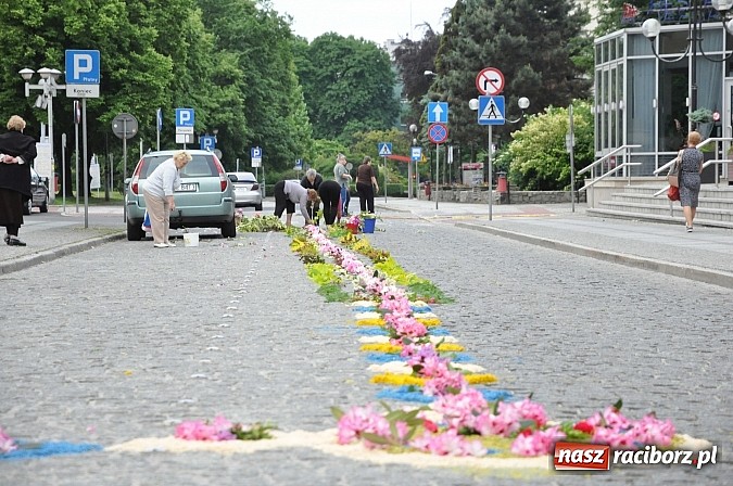 Zdjęcie w galerii na portalu naszraciborz.pl: Skoro świt ruszyli do pracy. Zobacz jak powstają raciborskie kwietne dywany na Boże Ciało wiadomości z regionu