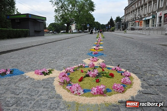 Zdjęcie w galerii na portalu naszraciborz.pl: Skoro świt ruszyli do pracy. Zobacz jak powstają raciborskie kwietne dywany na Boże Ciało wiadomości z regionu