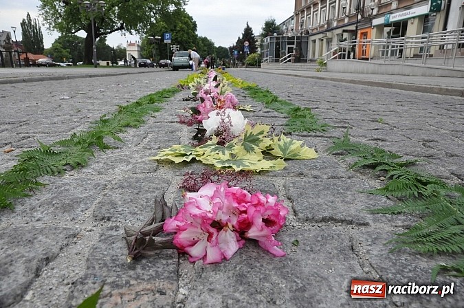 Zdjęcie w galerii na portalu naszraciborz.pl: Skoro świt ruszyli do pracy. Zobacz jak powstają raciborskie kwietne dywany na Boże Ciało wiadomości z regionu