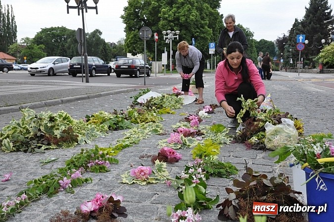 Zdjęcie w galerii na portalu naszraciborz.pl: Skoro świt ruszyli do pracy. Zobacz jak powstają raciborskie kwietne dywany na Boże Ciało wiadomości z regionu