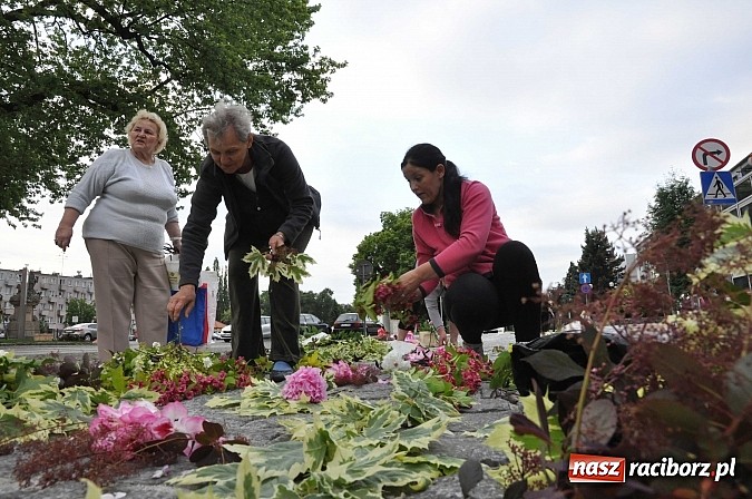 Zdjęcie w galerii na portalu naszraciborz.pl: Skoro świt ruszyli do pracy. Zobacz jak powstają raciborskie kwietne dywany na Boże Ciało wiadomości z regionu