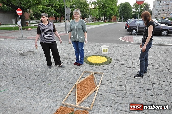 Zdjęcie w galerii na portalu naszraciborz.pl: Skoro świt ruszyli do pracy. Zobacz jak powstają raciborskie kwietne dywany na Boże Ciało wiadomości z regionu