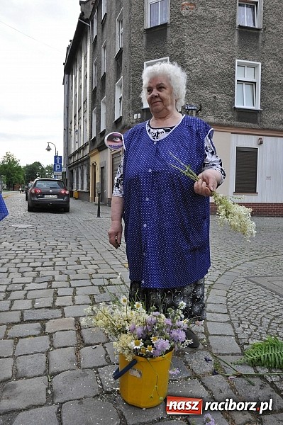 Zdjęcie w galerii na portalu naszraciborz.pl: Skoro świt ruszyli do pracy. Zobacz jak powstają raciborskie kwietne dywany na Boże Ciało wiadomości z regionu