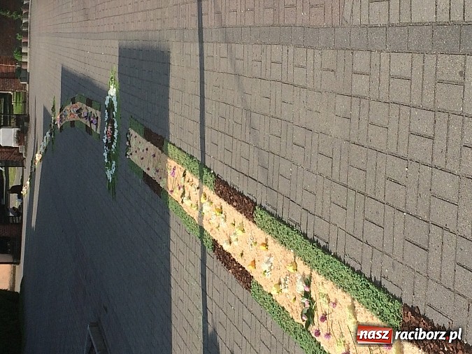 Zdjęcie w galerii na portalu naszraciborz.pl: Skoro świt ruszyli do pracy. Zobacz jak powstają raciborskie kwietne dywany na Boże Ciało wiadomości z regionu