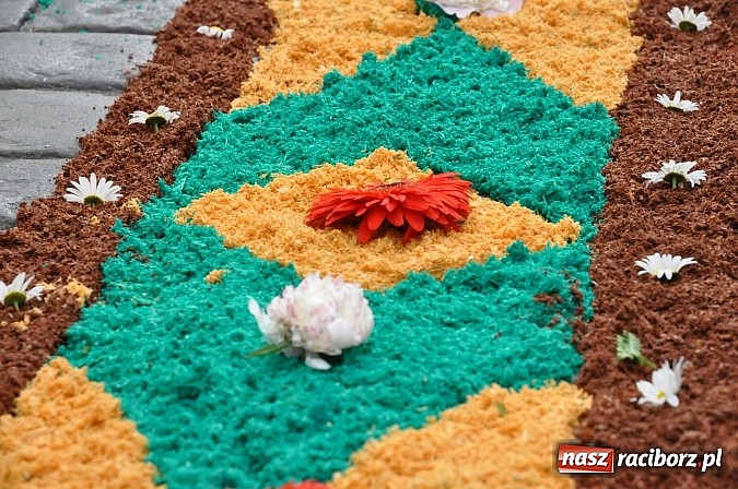 Zdjęcie w galerii na portalu naszraciborz.pl: Piękna Elizabeth z ulicy Solnej  wiadomości z regionu