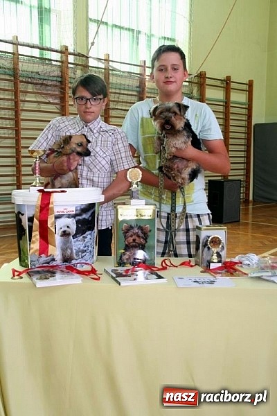 Zdjęcie w galerii na portalu naszraciborz.pl: Szkolna wystawa psów w Tworkowie. Na Dzień Dziecka  wiadomości z regionu