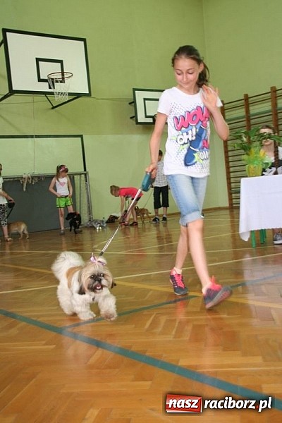 Zdjęcie w galerii na portalu naszraciborz.pl: Szkolna wystawa psów w Tworkowie. Na Dzień Dziecka  wiadomości z regionu