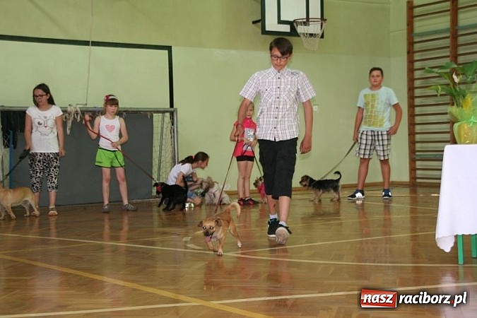 Zdjęcie w galerii na portalu naszraciborz.pl: Szkolna wystawa psów w Tworkowie. Na Dzień Dziecka  wiadomości z regionu