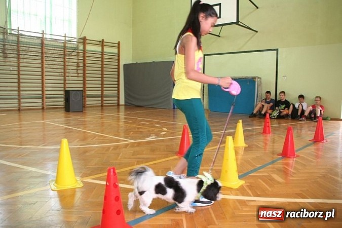 Zdjęcie w galerii na portalu naszraciborz.pl: Szkolna wystawa psów w Tworkowie. Na Dzień Dziecka  wiadomości z regionu