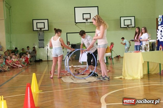 Zdjęcie w galerii na portalu naszraciborz.pl: Szkolna wystawa psów w Tworkowie. Na Dzień Dziecka  wiadomości z regionu