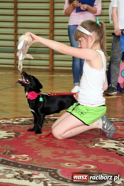 Zdjęcie w galerii na portalu naszraciborz.pl: Szkolna wystawa psów w Tworkowie. Na Dzień Dziecka  wiadomości z regionu