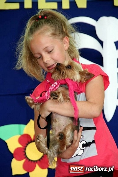 Zdjęcie w galerii na portalu naszraciborz.pl: Szkolna wystawa psów w Tworkowie. Na Dzień Dziecka  wiadomości z regionu
