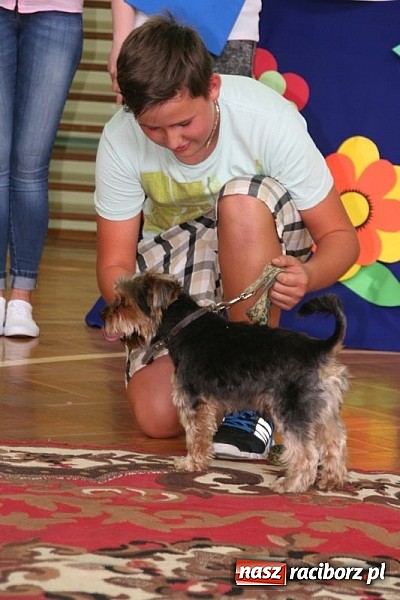 Zdjęcie w galerii na portalu naszraciborz.pl: Szkolna wystawa psów w Tworkowie. Na Dzień Dziecka  wiadomości z regionu