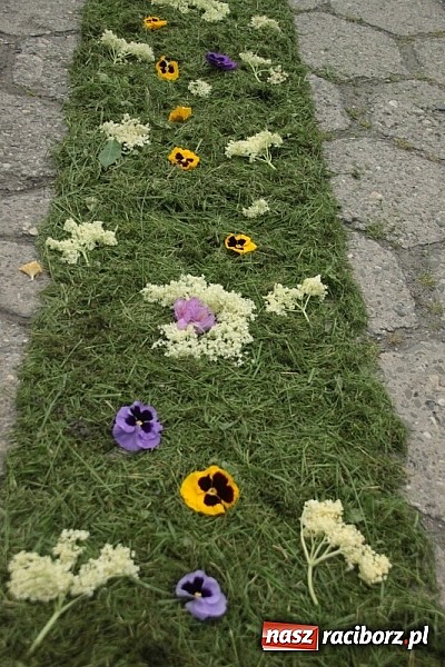 Zdjęcie w galerii na portalu naszraciborz.pl: Boże Ciało w Wojnowicach wiadomości z regionu