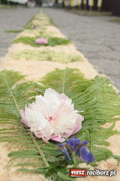 Zdjęcie w galerii na portalu naszraciborz.pl: Boże Ciało w Wojnowicach wiadomości z regionu