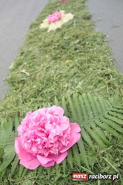 Zdjęcie w galerii na portalu naszraciborz.pl: Boże Ciało w Wojnowicach wiadomości z regionu