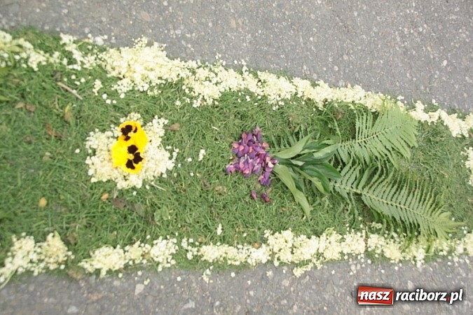 Zdjęcie w galerii na portalu naszraciborz.pl: Boże Ciało w Wojnowicach wiadomości z regionu