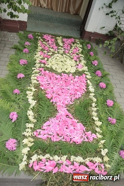 Zdjęcie w galerii na portalu naszraciborz.pl: Boże Ciało w Wojnowicach wiadomości z regionu