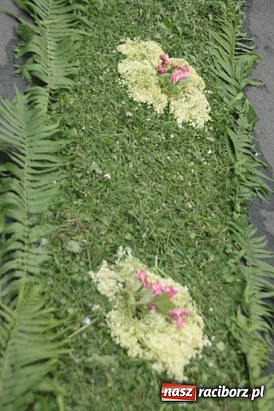 Zdjęcie w galerii na portalu naszraciborz.pl: Boże Ciało w Wojnowicach wiadomości z regionu