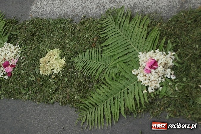 Zdjęcie w galerii na portalu naszraciborz.pl: Boże Ciało w Wojnowicach wiadomości z regionu