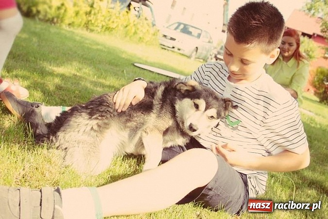 Zdjęcie w galerii na portalu naszraciborz.pl: Stylizacje, wizaż i niesamowite fryzury, czyli rodzinnie u fryzjera wiadomości z regionu