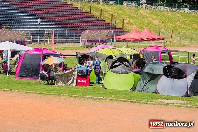 Zdjęcie w galerii na portalu naszraciborz.pl: Krajowa Wystawa Ps&oacute;w Rasowych na raciborskim stadionie wiadomości z regionu