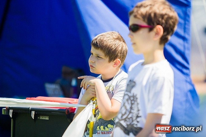 Zdjęcie w galerii na portalu naszraciborz.pl: Krajowa Wystawa Ps&oacute;w Rasowych na raciborskim stadionie wiadomości z regionu