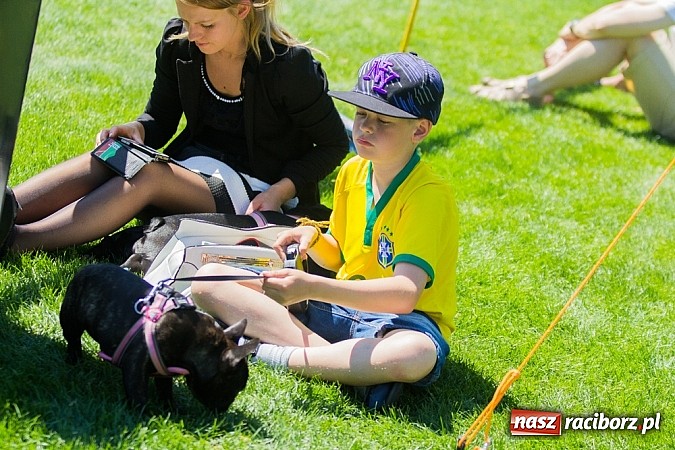 Zdjęcie w galerii na portalu naszraciborz.pl: Krajowa Wystawa Ps&oacute;w Rasowych na raciborskim stadionie wiadomości z regionu