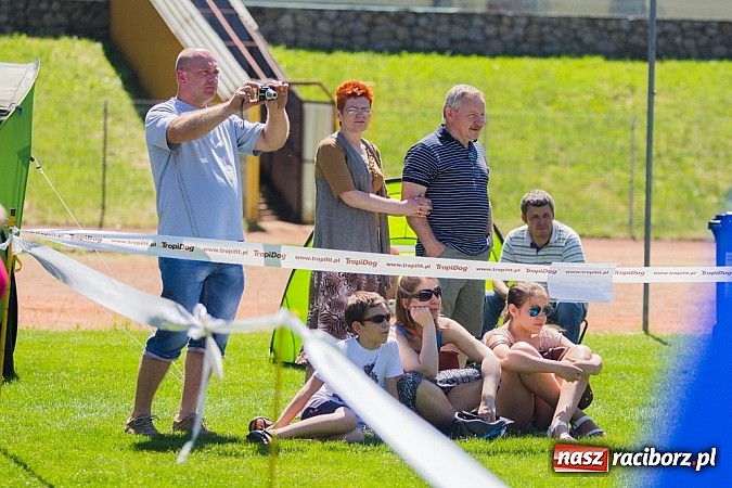 Zdjęcie w galerii na portalu naszraciborz.pl: Krajowa Wystawa Ps&oacute;w Rasowych na raciborskim stadionie wiadomości z regionu