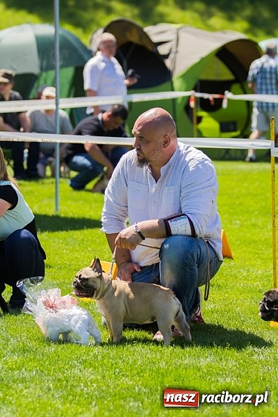 Zdjęcie w galerii na portalu naszraciborz.pl: Krajowa Wystawa Ps&oacute;w Rasowych na raciborskim stadionie wiadomości z regionu