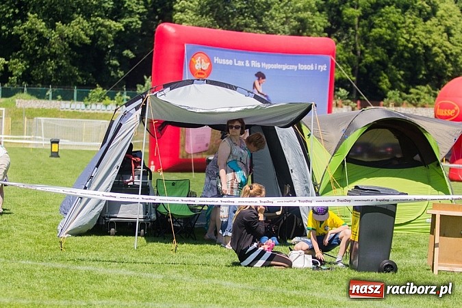 Zdjęcie w galerii na portalu naszraciborz.pl: Krajowa Wystawa Ps&oacute;w Rasowych na raciborskim stadionie wiadomości z regionu