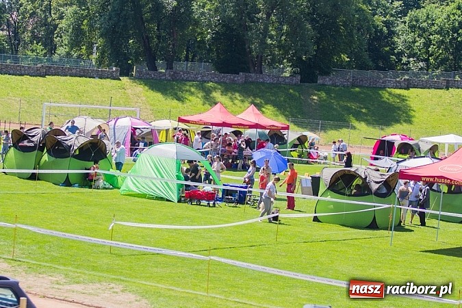 Zdjęcie w galerii na portalu naszraciborz.pl: Krajowa Wystawa Ps&oacute;w Rasowych na raciborskim stadionie wiadomości z regionu