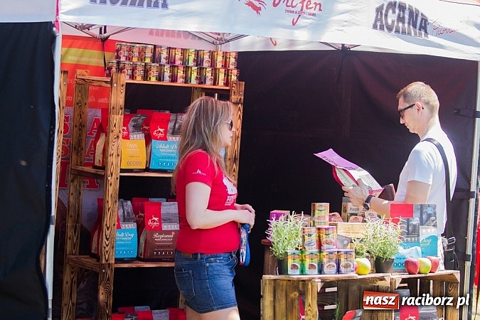 Zdjęcie w galerii na portalu naszraciborz.pl: Krajowa Wystawa Ps&oacute;w Rasowych na raciborskim stadionie wiadomości z regionu