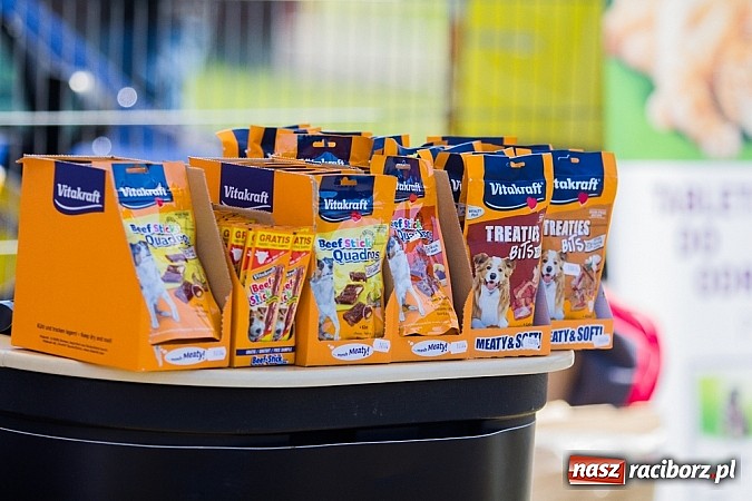 Zdjęcie w galerii na portalu naszraciborz.pl: Krajowa Wystawa Ps&oacute;w Rasowych na raciborskim stadionie wiadomości z regionu