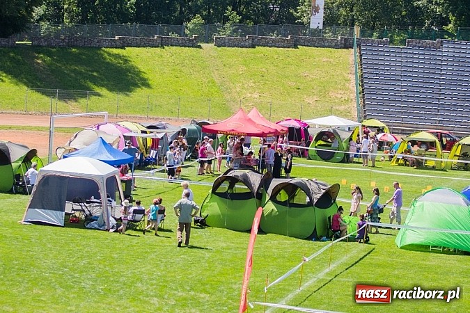 Zdjęcie w galerii na portalu naszraciborz.pl: Krajowa Wystawa Ps&oacute;w Rasowych na raciborskim stadionie wiadomości z regionu