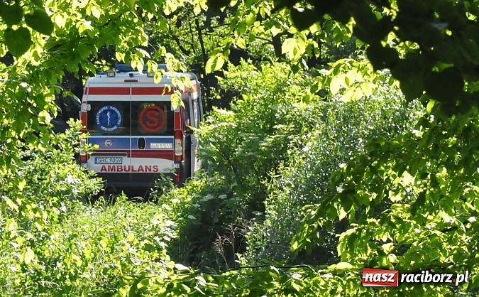 Zdjęcie w galerii na portalu naszraciborz.pl: 22-latek topił się w małym stawie pod Oborą. Udało się go reanimować. W ciężkim stanie trafił do szpitala wiadomości z regionu
