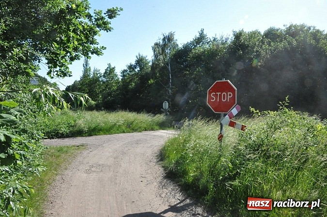 Zdjęcie w galerii na portalu naszraciborz.pl: 22-latek topił się w małym stawie pod Oborą. Udało się go reanimować. W ciężkim stanie trafił do szpitala wiadomości z regionu