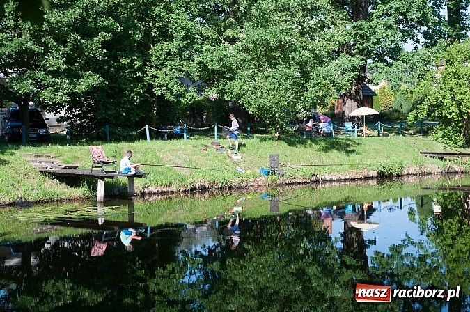 Zdjęcie w galerii na portalu naszraciborz.pl: Złowili płotki, uwolnili suma. Zawody o Złotą Łuskę ZSZ i Puchar Dyrektora OSiR wiadomości z regionu