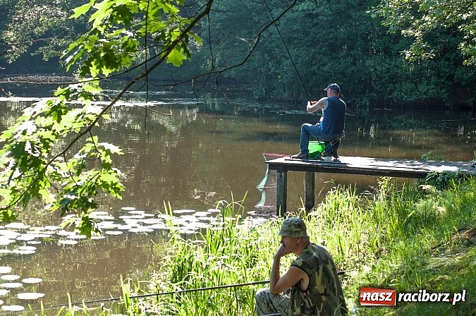 Zdjęcie w galerii na portalu naszraciborz.pl: Złowili płotki, uwolnili suma. Zawody o Złotą Łuskę ZSZ i Puchar Dyrektora OSiR wiadomości z regionu
