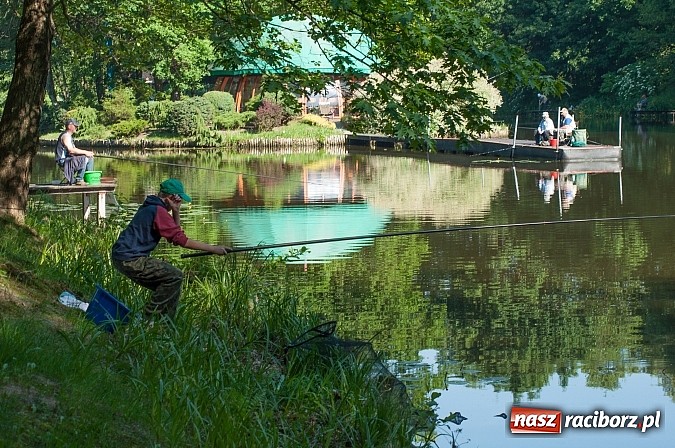 Zdjęcie w galerii na portalu naszraciborz.pl: Złowili płotki, uwolnili suma. Zawody o Złotą Łuskę ZSZ i Puchar Dyrektora OSiR wiadomości z regionu