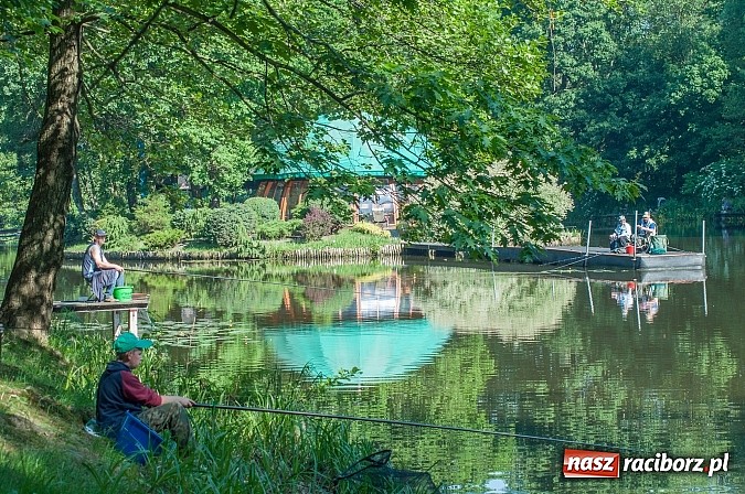 Zdjęcie w galerii na portalu naszraciborz.pl: Złowili płotki, uwolnili suma. Zawody o Złotą Łuskę ZSZ i Puchar Dyrektora OSiR wiadomości z regionu