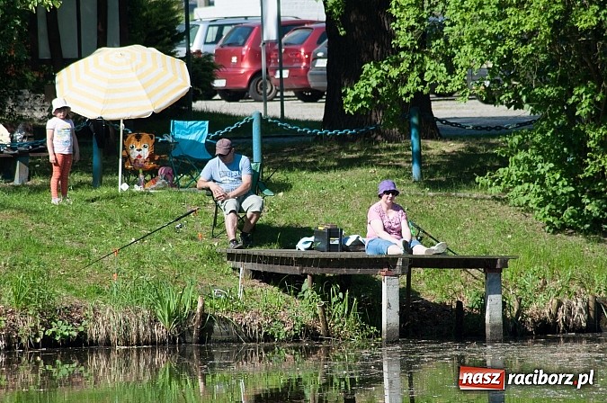 Zdjęcie w galerii na portalu naszraciborz.pl: Złowili płotki, uwolnili suma. Zawody o Złotą Łuskę ZSZ i Puchar Dyrektora OSiR wiadomości z regionu