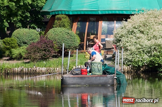 Zdjęcie w galerii na portalu naszraciborz.pl: Złowili płotki, uwolnili suma. Zawody o Złotą Łuskę ZSZ i Puchar Dyrektora OSiR wiadomości z regionu