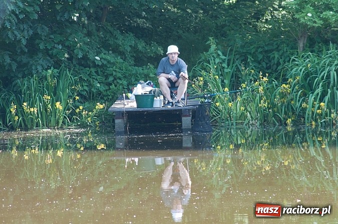 Zdjęcie w galerii na portalu naszraciborz.pl: Złowili płotki, uwolnili suma. Zawody o Złotą Łuskę ZSZ i Puchar Dyrektora OSiR wiadomości z regionu