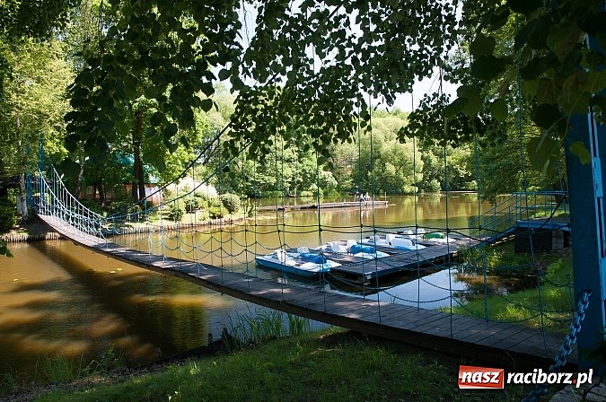 Zdjęcie w galerii na portalu naszraciborz.pl: Złowili płotki, uwolnili suma. Zawody o Złotą Łuskę ZSZ i Puchar Dyrektora OSiR wiadomości z regionu