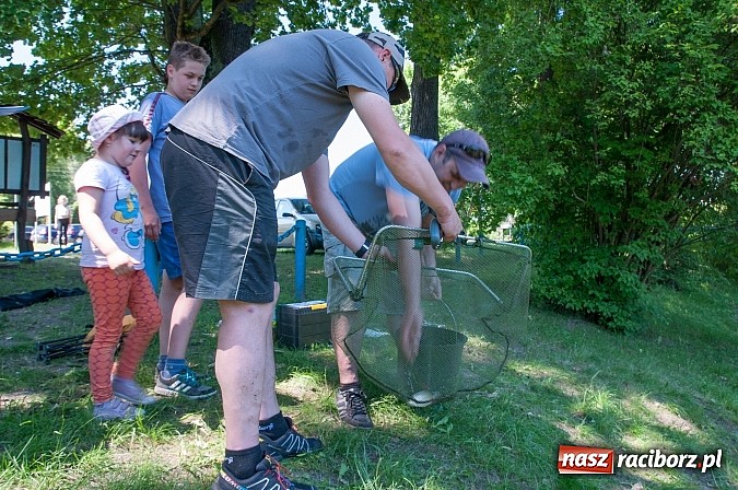 Zdjęcie w galerii na portalu naszraciborz.pl: Złowili płotki, uwolnili suma. Zawody o Złotą Łuskę ZSZ i Puchar Dyrektora OSiR wiadomości z regionu