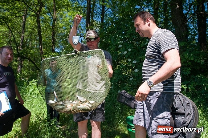 Zdjęcie w galerii na portalu naszraciborz.pl: Złowili płotki, uwolnili suma. Zawody o Złotą Łuskę ZSZ i Puchar Dyrektora OSiR wiadomości z regionu