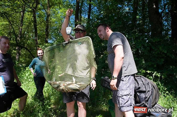 Zdjęcie w galerii na portalu naszraciborz.pl: Złowili płotki, uwolnili suma. Zawody o Złotą Łuskę ZSZ i Puchar Dyrektora OSiR wiadomości z regionu