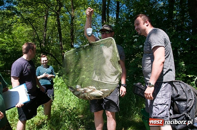 Zdjęcie w galerii na portalu naszraciborz.pl: Złowili płotki, uwolnili suma. Zawody o Złotą Łuskę ZSZ i Puchar Dyrektora OSiR wiadomości z regionu