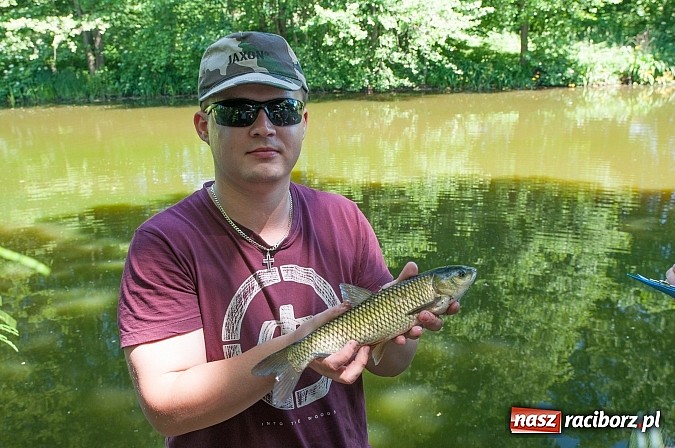 Zdjęcie w galerii na portalu naszraciborz.pl: Złowili płotki, uwolnili suma. Zawody o Złotą Łuskę ZSZ i Puchar Dyrektora OSiR wiadomości z regionu